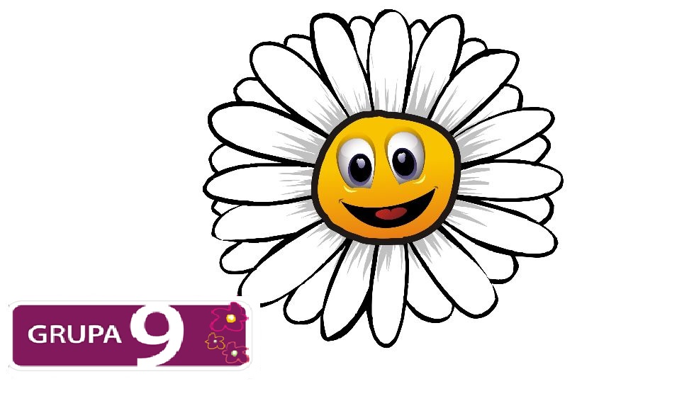 grupa9